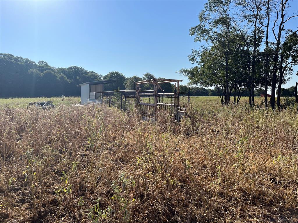 207 County Road 125 Property Photo 18