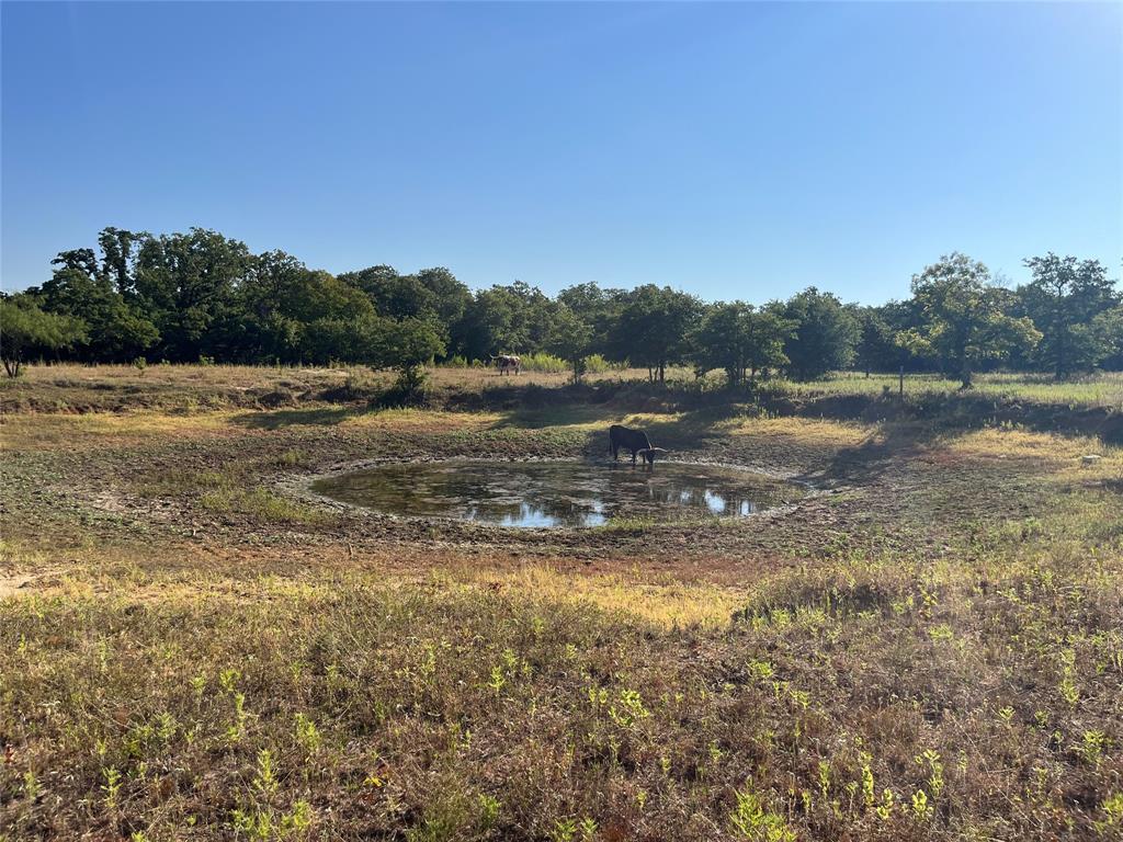 207 County Road 125 Property Photo 19