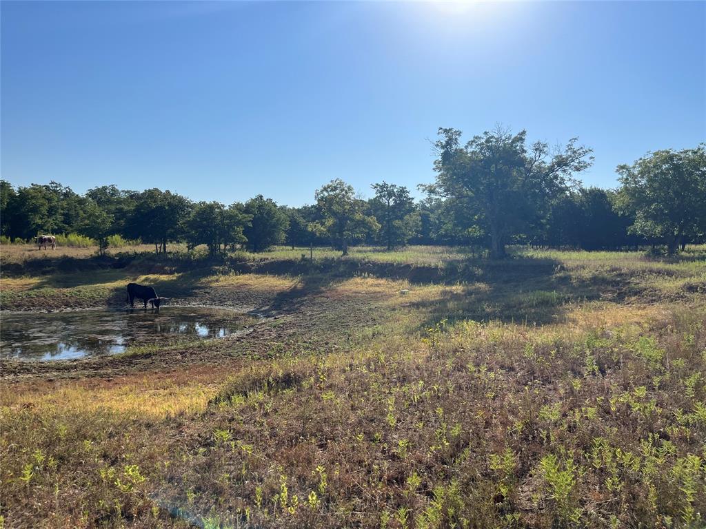 207 County Road 125 Property Photo 20
