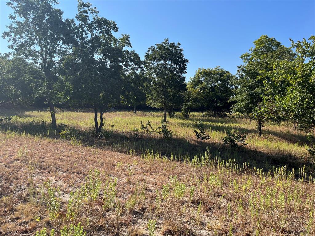 207 County Road 125 Property Photo 21