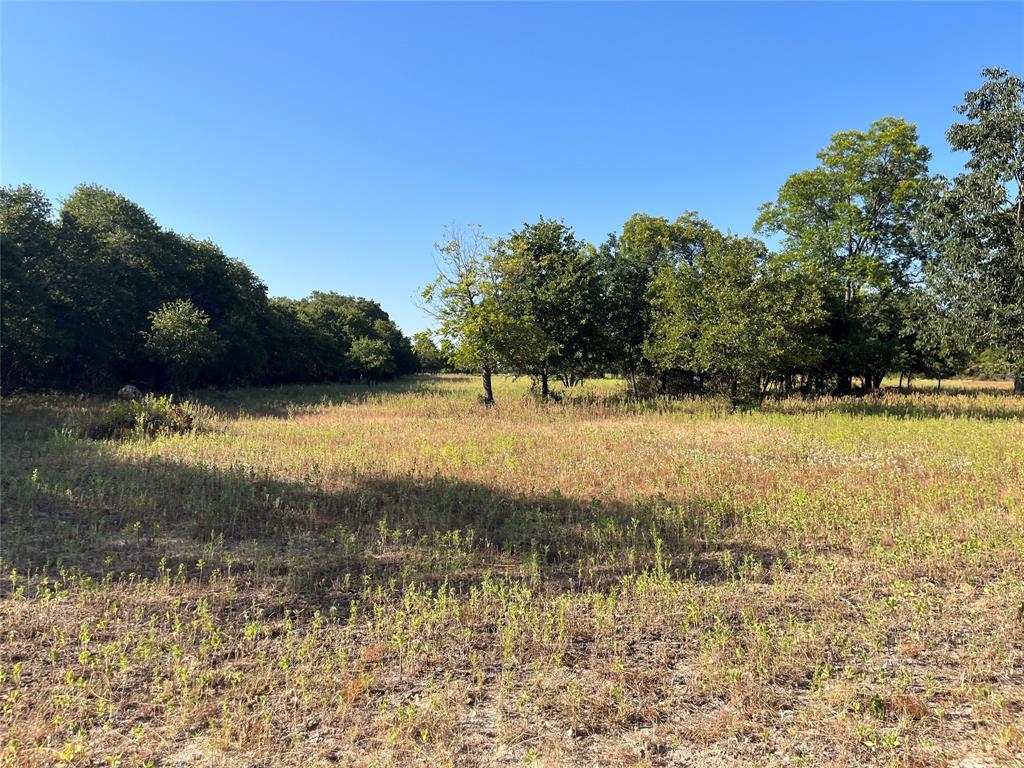 207 County Road 125 Property Photo 22