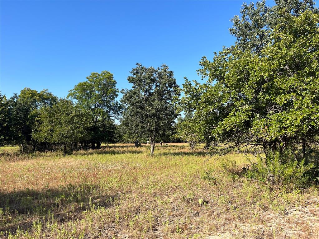 207 County Road 125 Property Photo 23