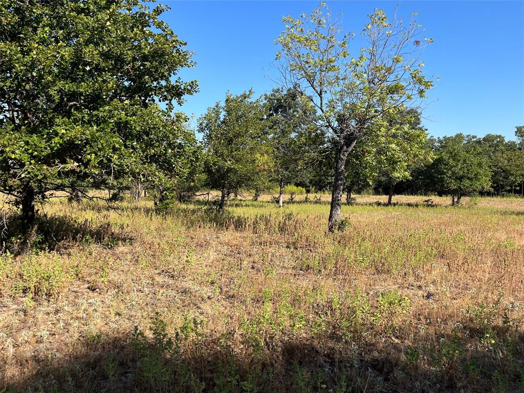 207 County Road 125 Property Photo 25