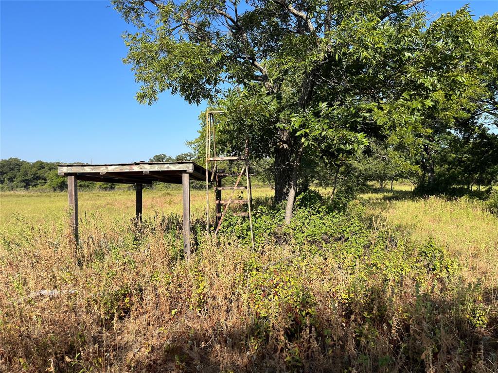 207 County Road 125 Property Photo 27