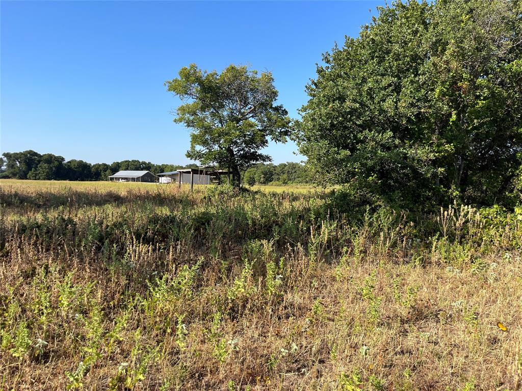 207 County Road 125 Property Photo 28