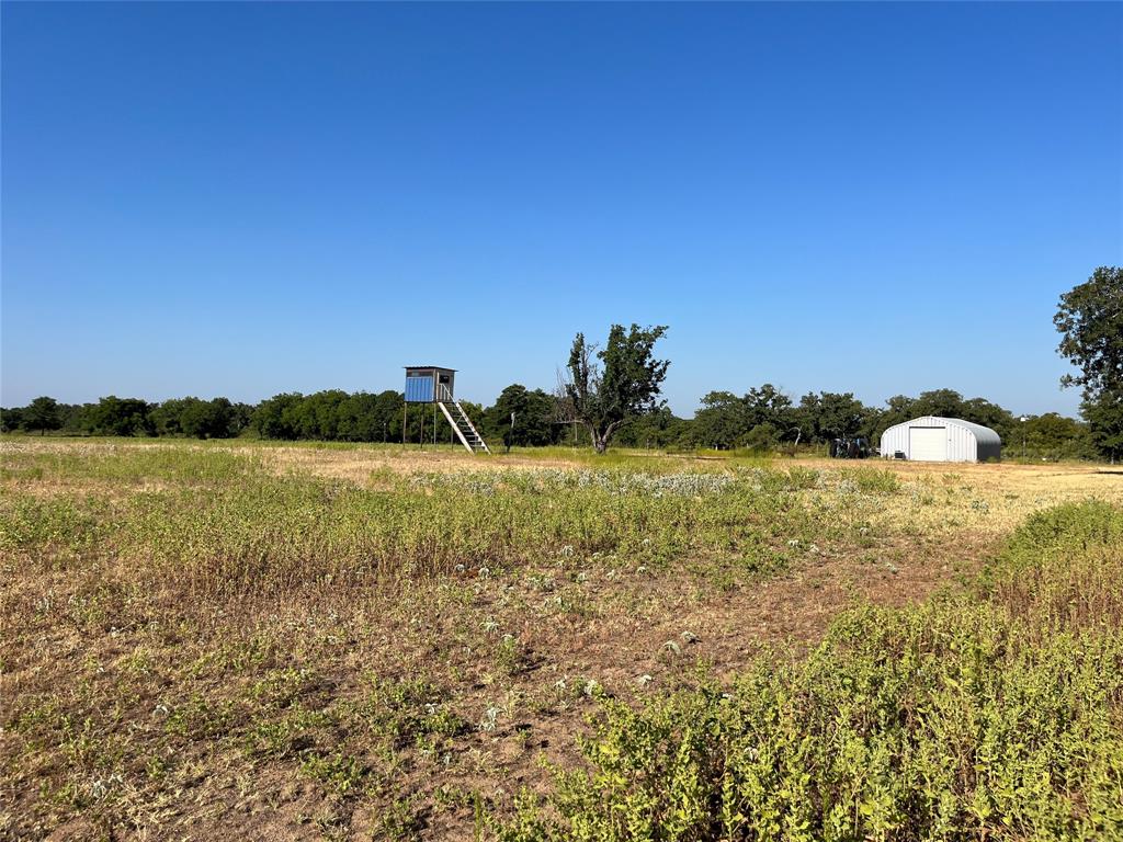 207 County Road 125 Property Photo 32