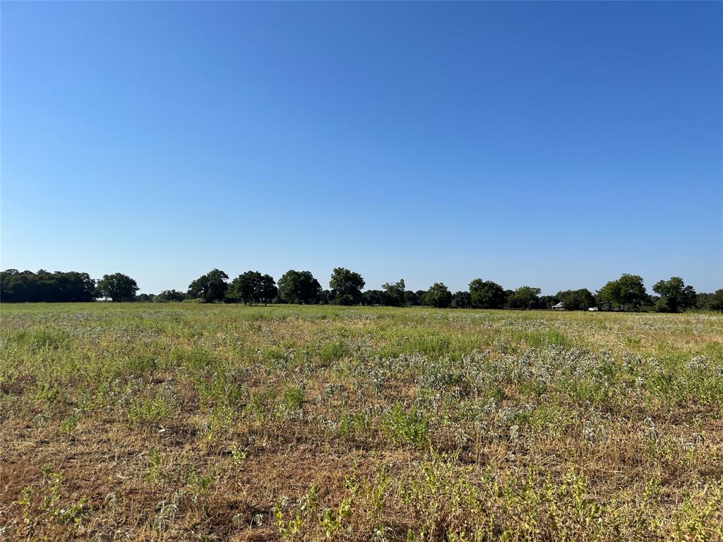 207 County Road 125 Property Photo 34