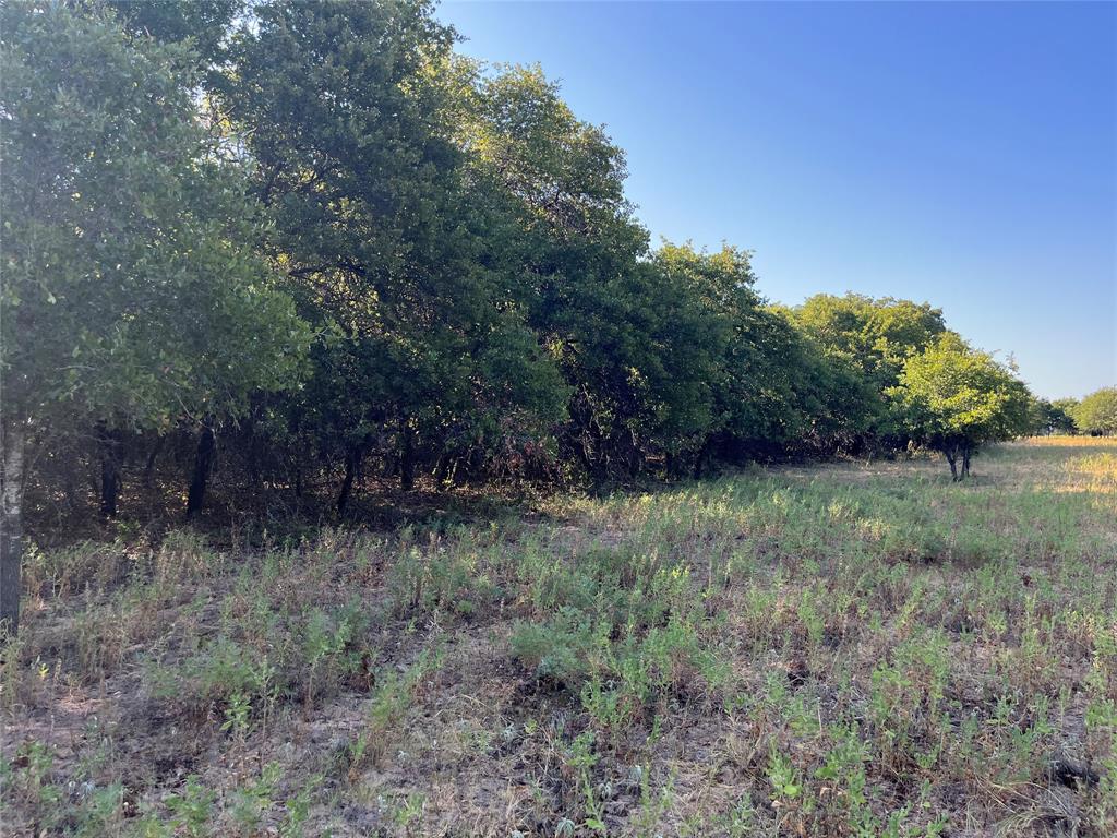 207 County Road 125 Property Photo 35