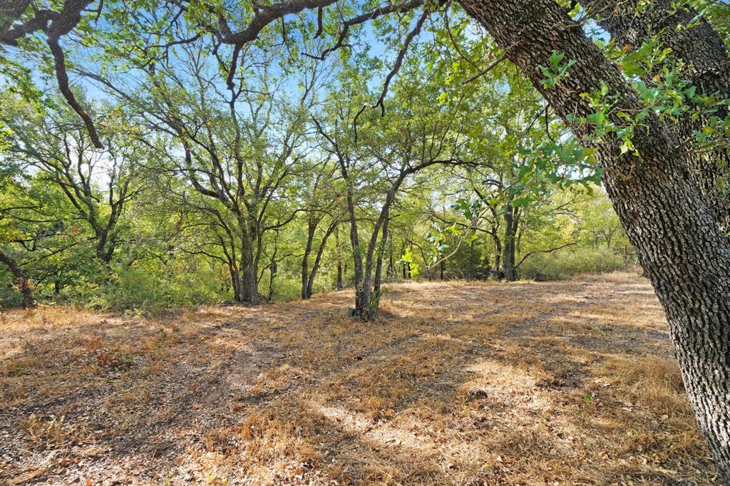 255 Maddux Road Property Photo 3