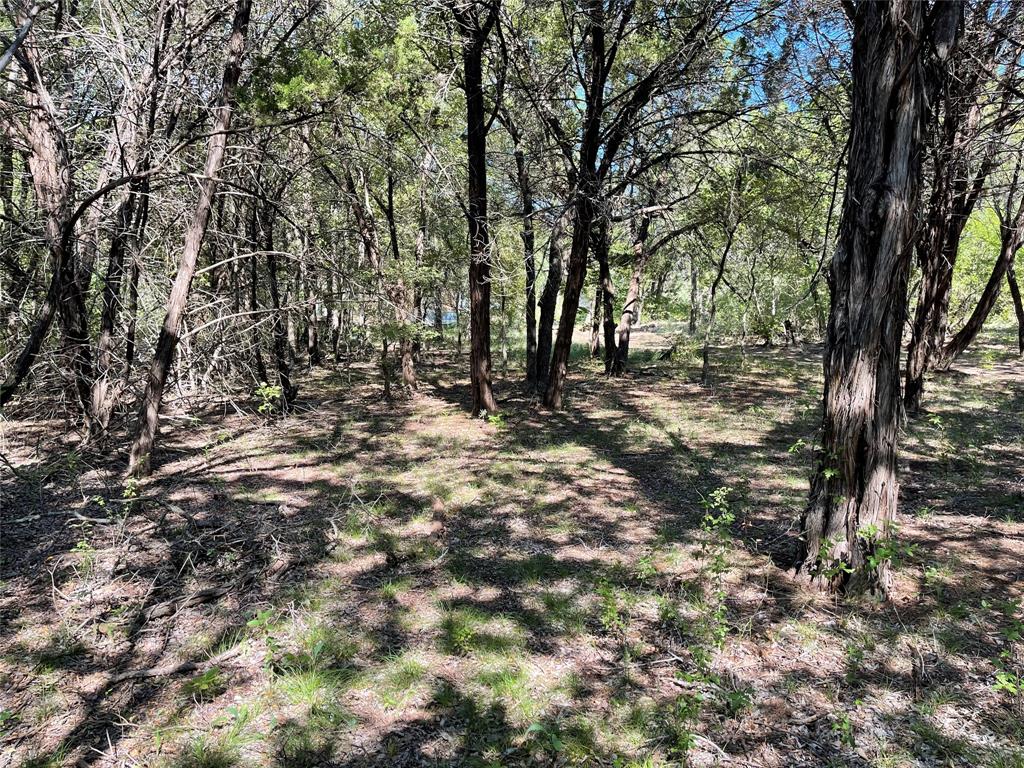 1224 County Road 1190 Property Photo 15