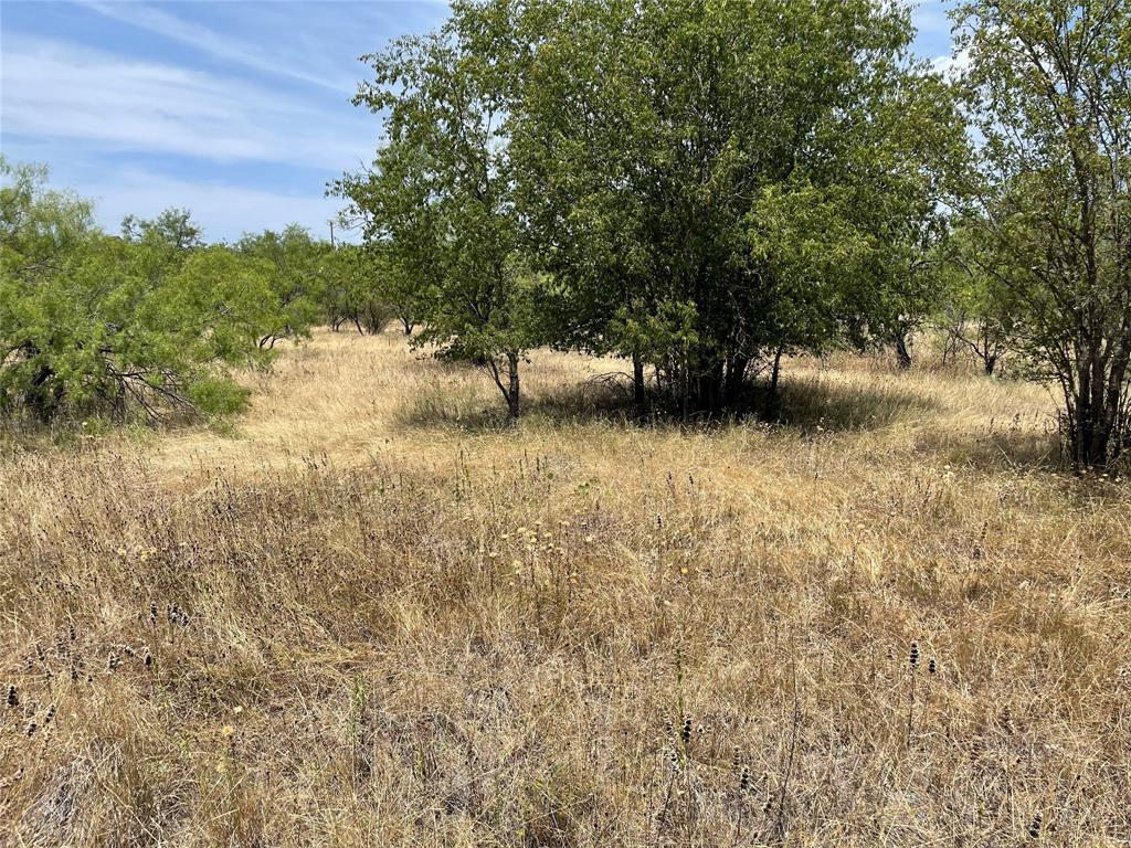Tbd Cr 316 Road Property Photo 2