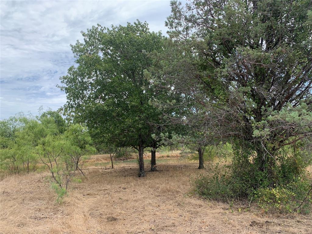 6275 Fm 1830 Property Photo 15