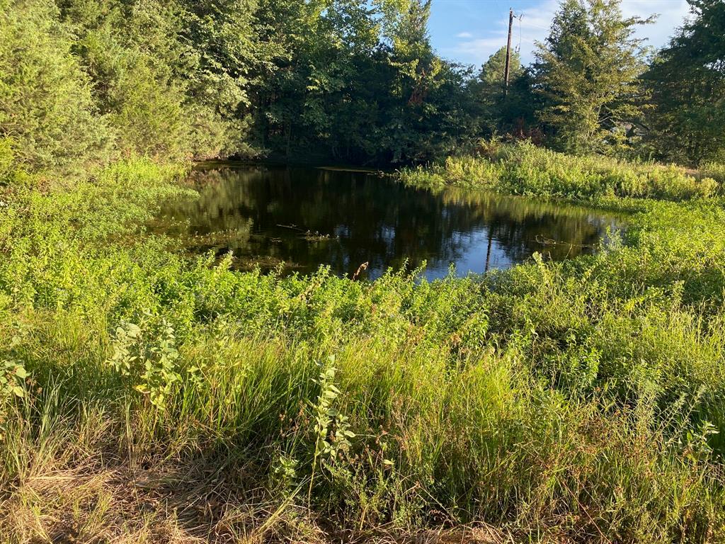722 County Rd 4122 Property Photo 1