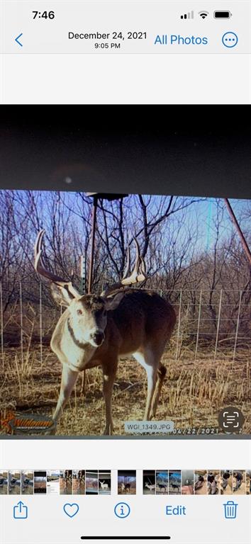 76+/- Ac Hwy 6 Property Photo 16