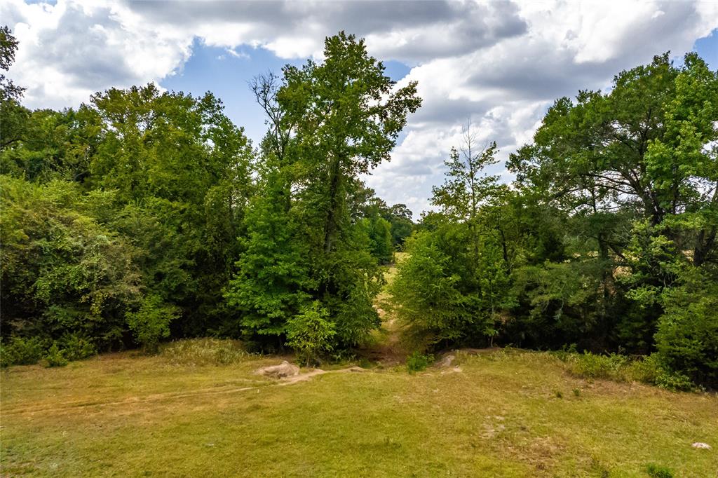 87 Acres Farm Road 269 Property Photo 3