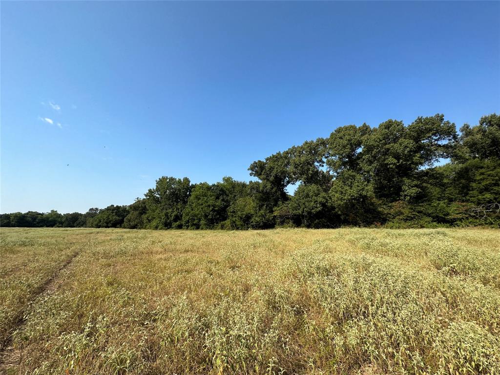 87 Acres Farm Road 269 Property Photo 8