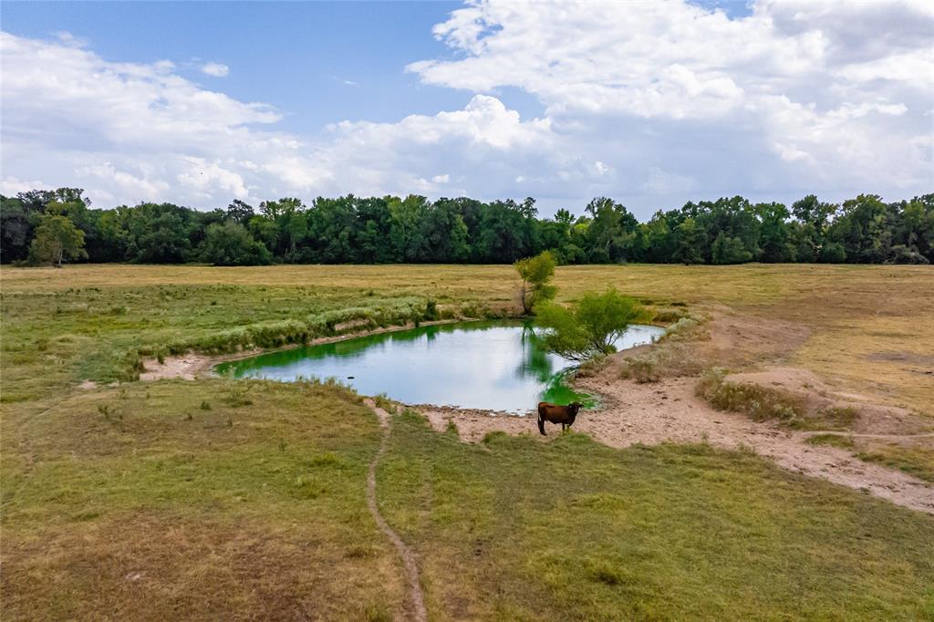 87 Acres Farm Road 269 Property Photo 9