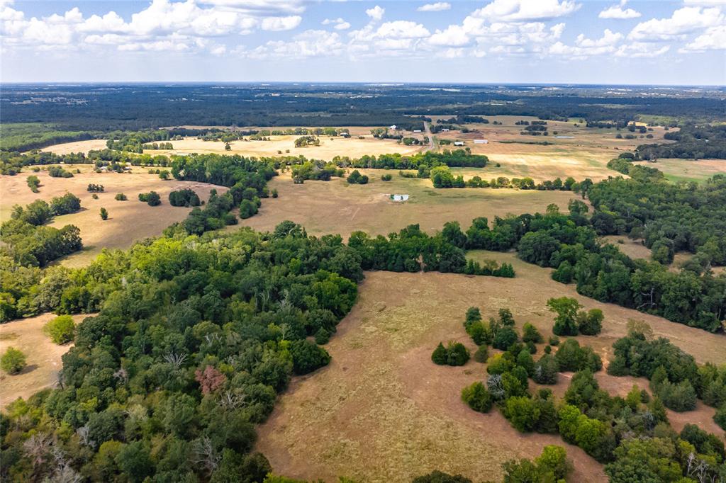87 Acres Farm Road 269 Property Photo 13