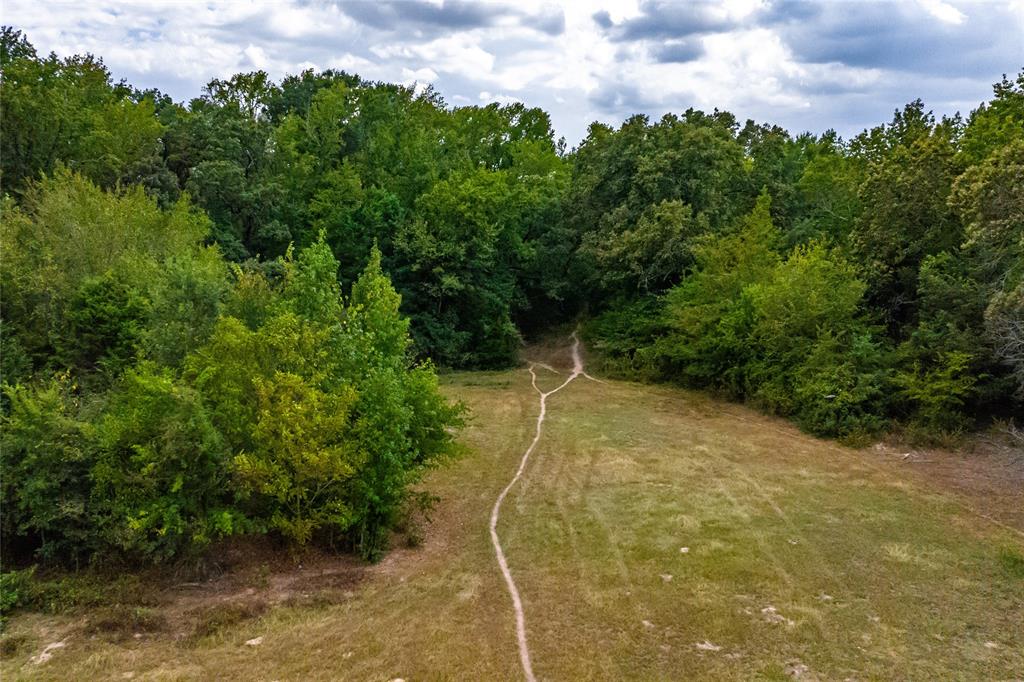87 Acres Farm Road 269 Property Photo 15