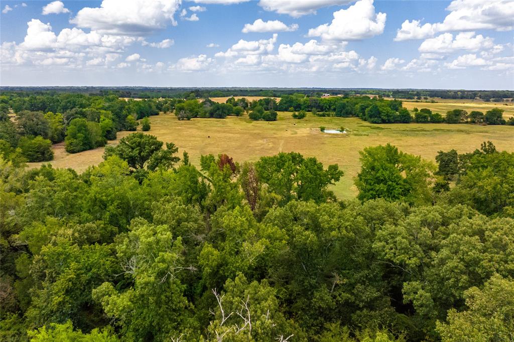 87 Acres Farm Road 269 Property Photo 16