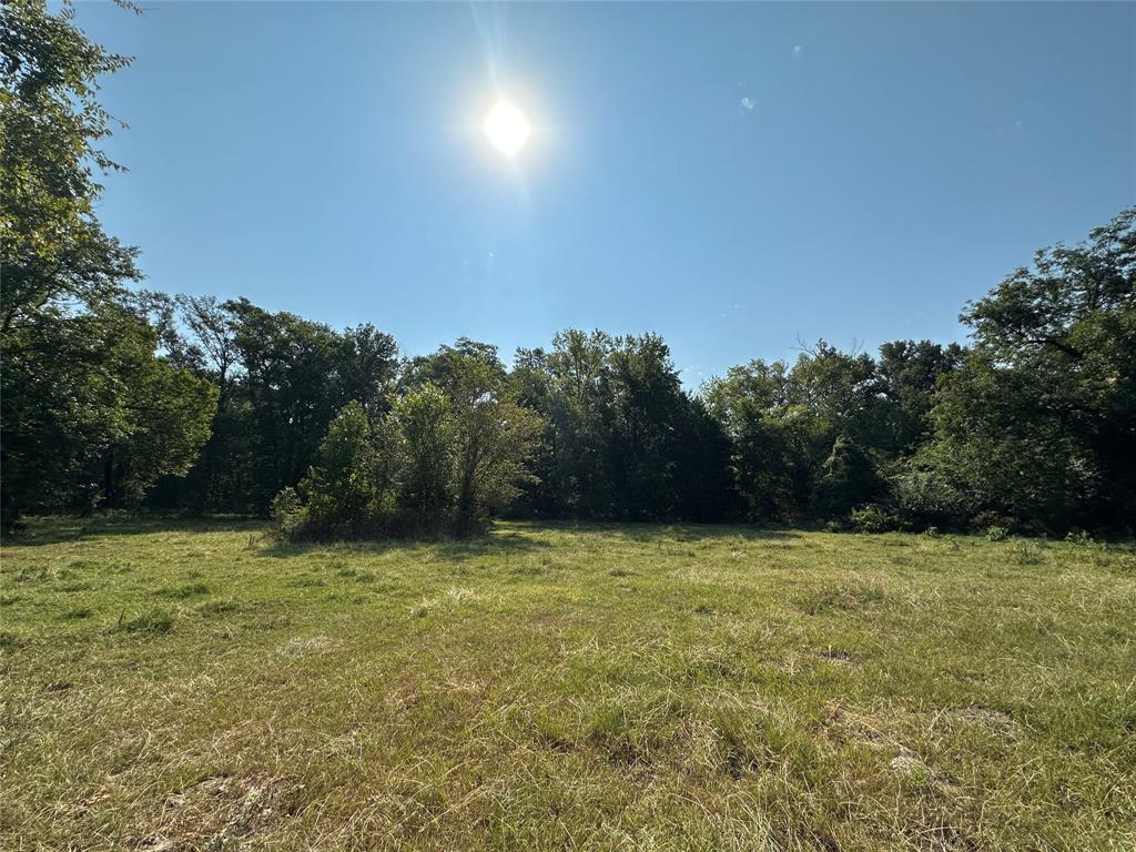 87 Acres Farm Road 269 Property Photo 19