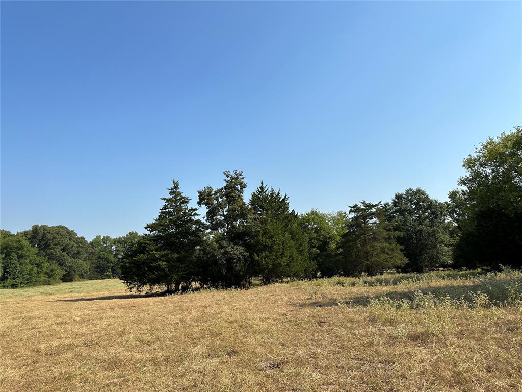 87 Acres Farm Road 269 Property Photo 20