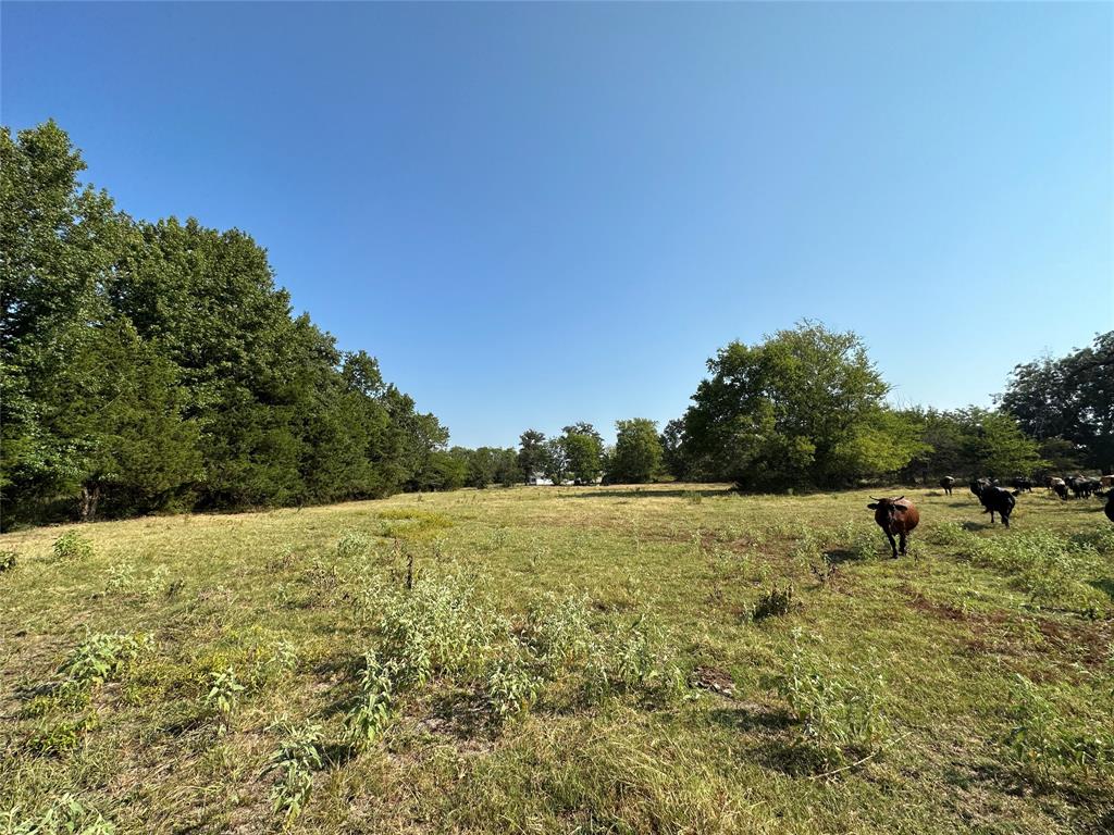 87 Acres Farm Road 269 Property Photo 21