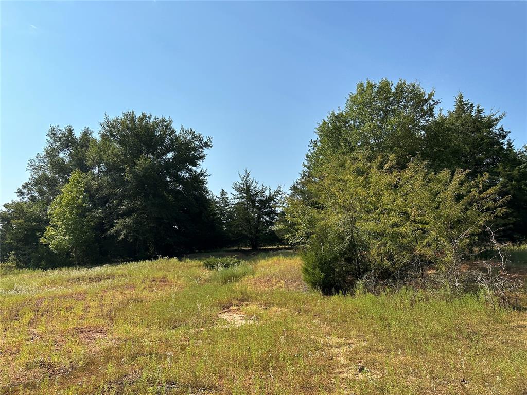 87 Acres Farm Road 269 Property Photo 22