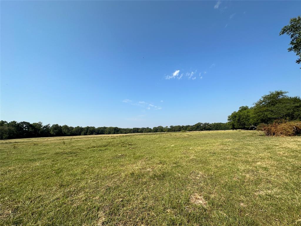 87 Acres Farm Road 269 Property Photo 25