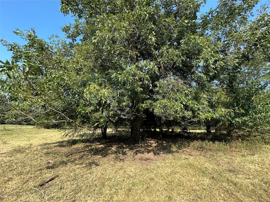87 Acres Farm Road 269 Property Photo 26