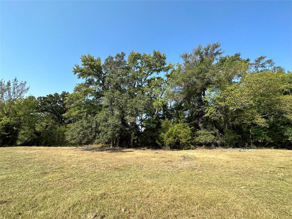 87 Acres Farm Road 269 Property Photo 28