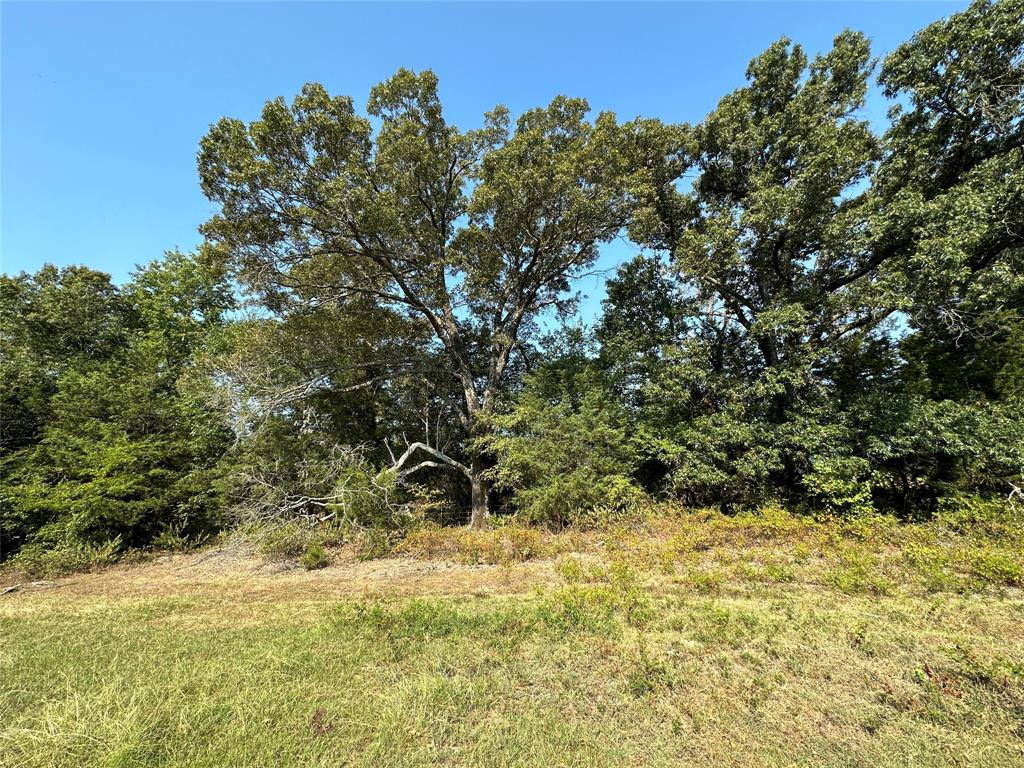 87 Acres Farm Road 269 Property Photo 29
