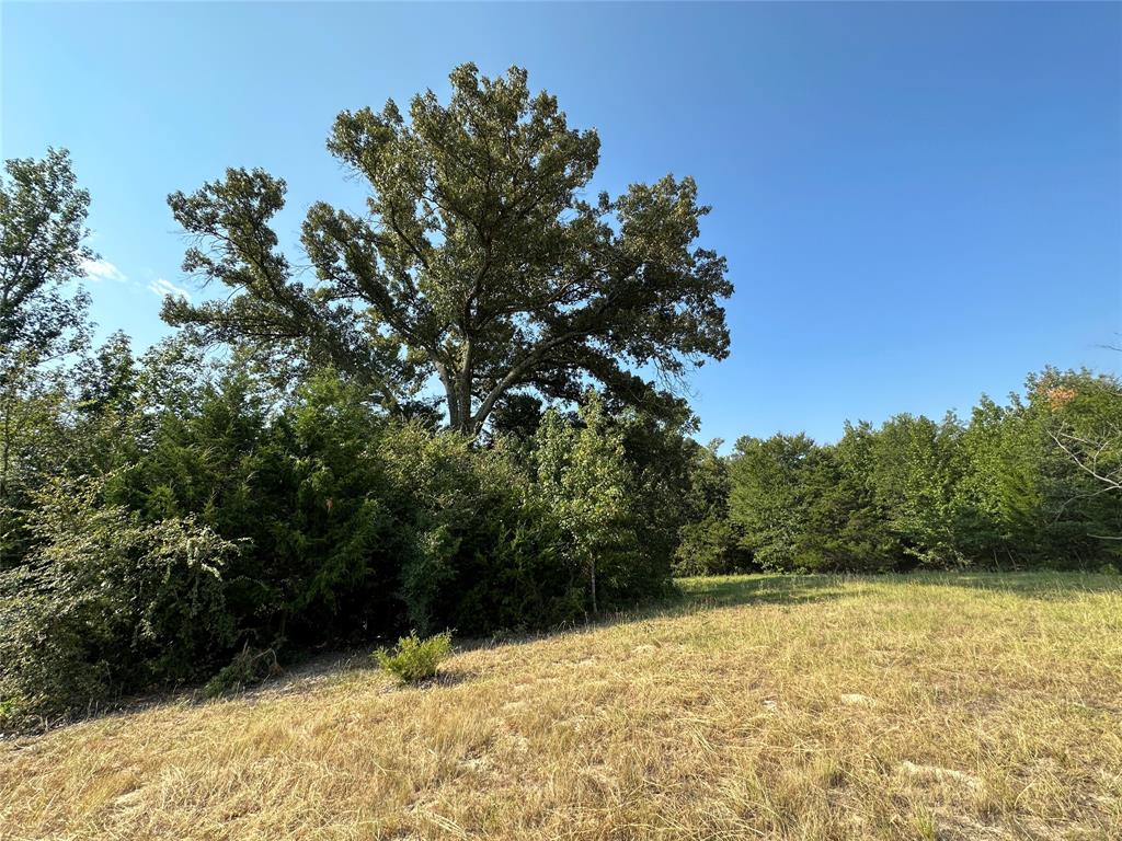 87 Acres Farm Road 269 Property Photo 30
