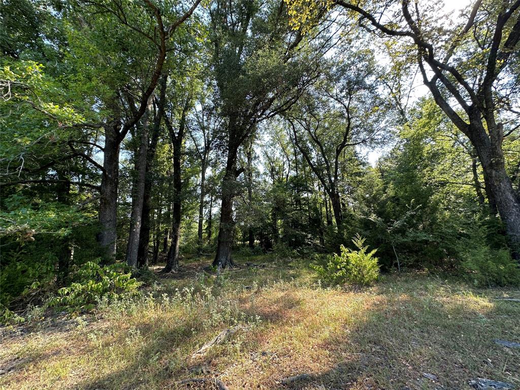 87 Acres Farm Road 269 Property Photo 31