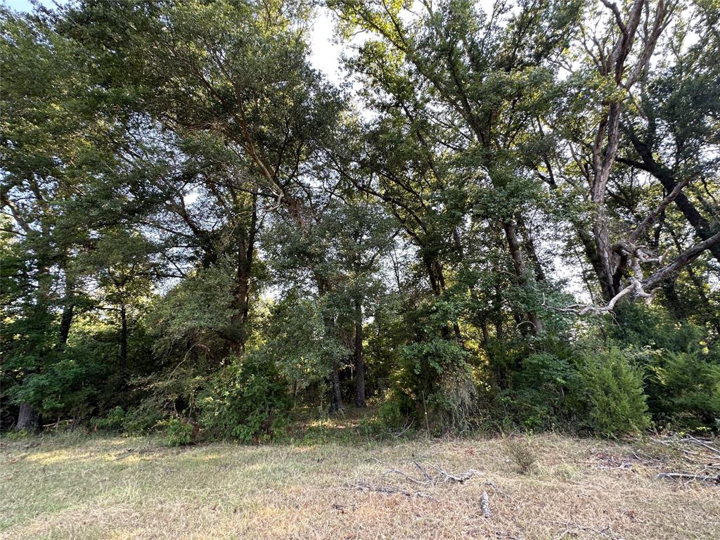 87 Acres Farm Road 269 Property Photo 32