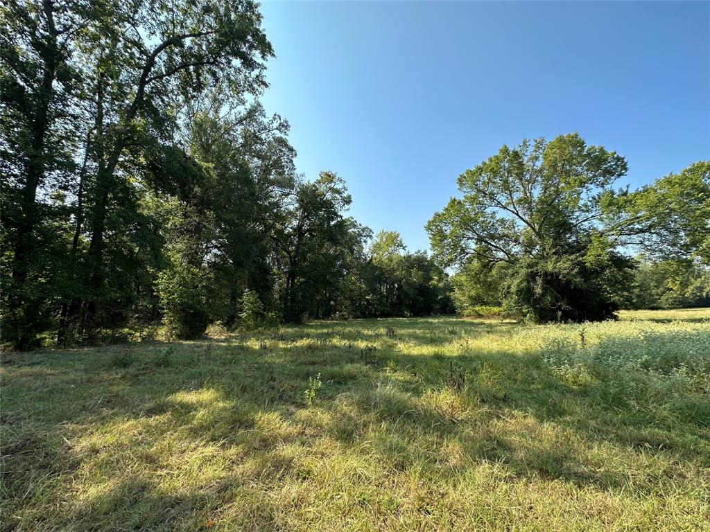 87 Acres Farm Road 269 Property Photo 33