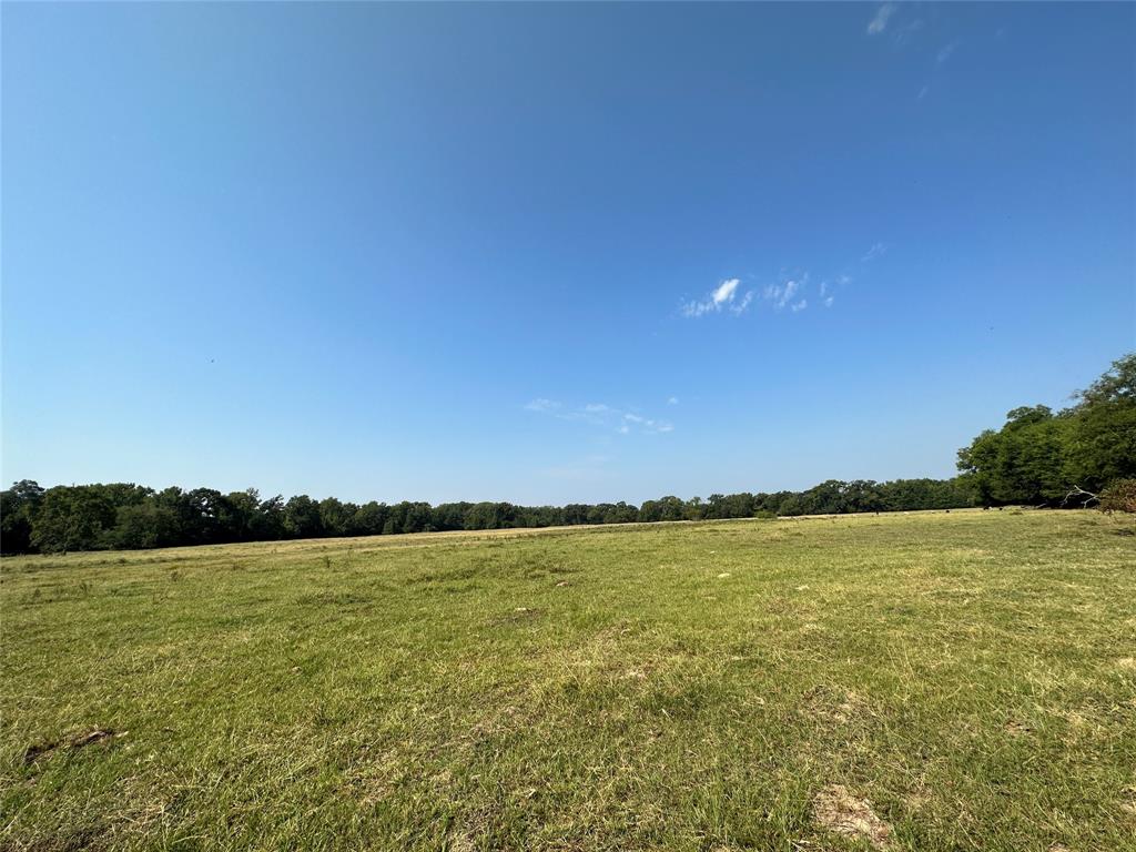 87 Acres Farm Road 269 Property Photo 35