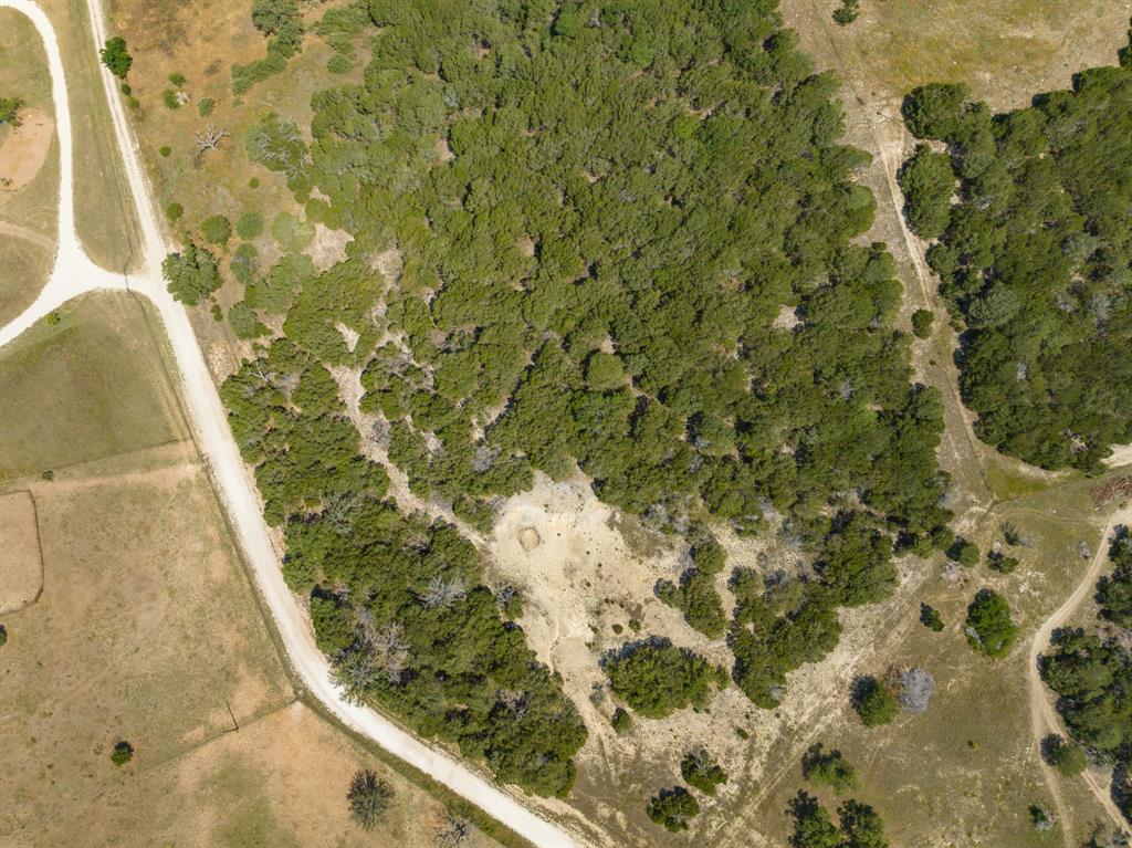 Tbd Bear Branch Road Property Photo 9