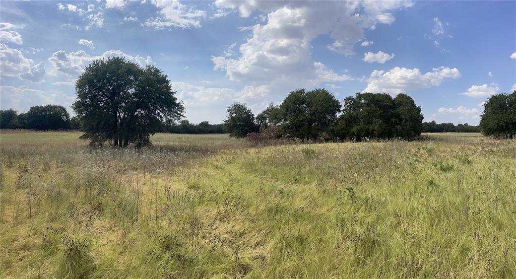 Lot 6 Blue Lacy Lane Property Photo 1