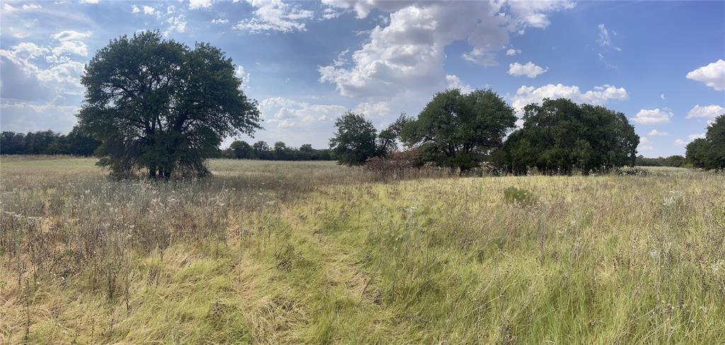 Lot 6 Blue Lacy Lane Property Photo 2