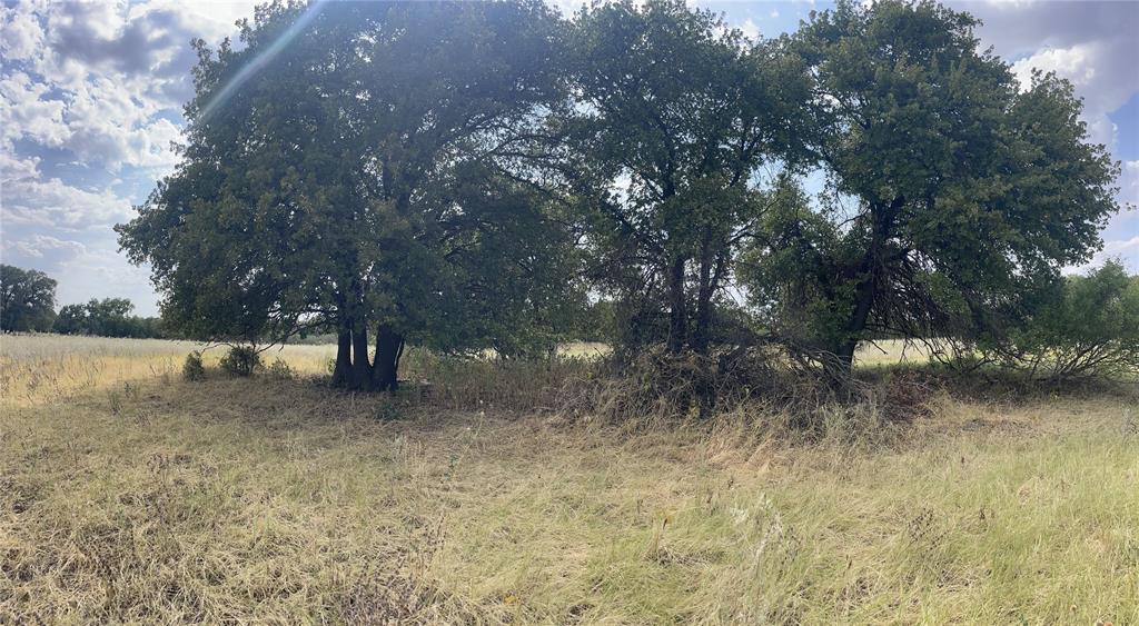 Lot 6 Blue Lacy Lane Property Photo 4