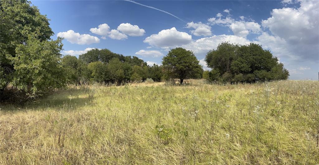 Lot 6 Blue Lacy Lane Property Photo 6