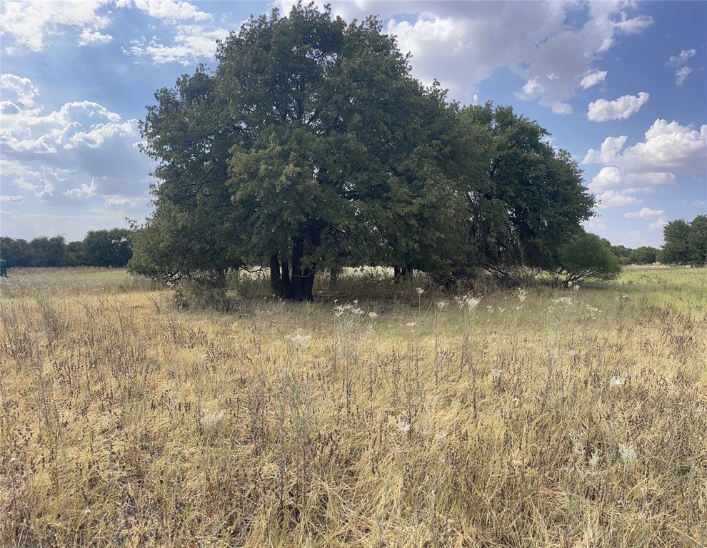 Lot 7 Blue Lacy Lane Property Photo 5