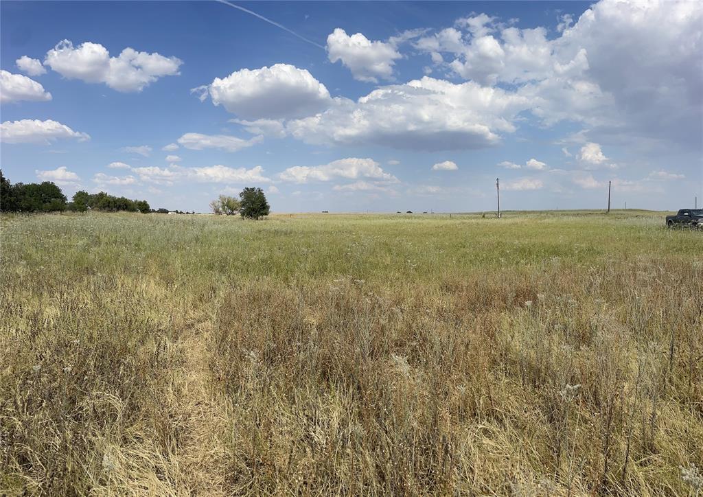 Lot 8 Blue Lacy Lane Property Photo 1