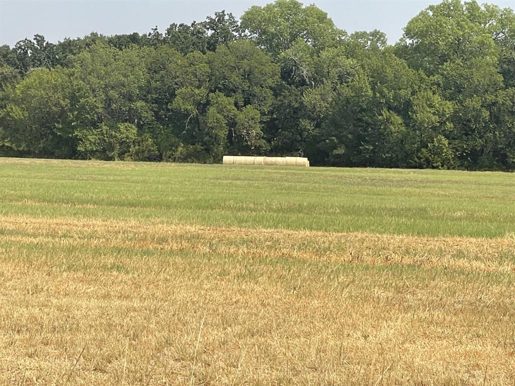 00 County Rd 4196