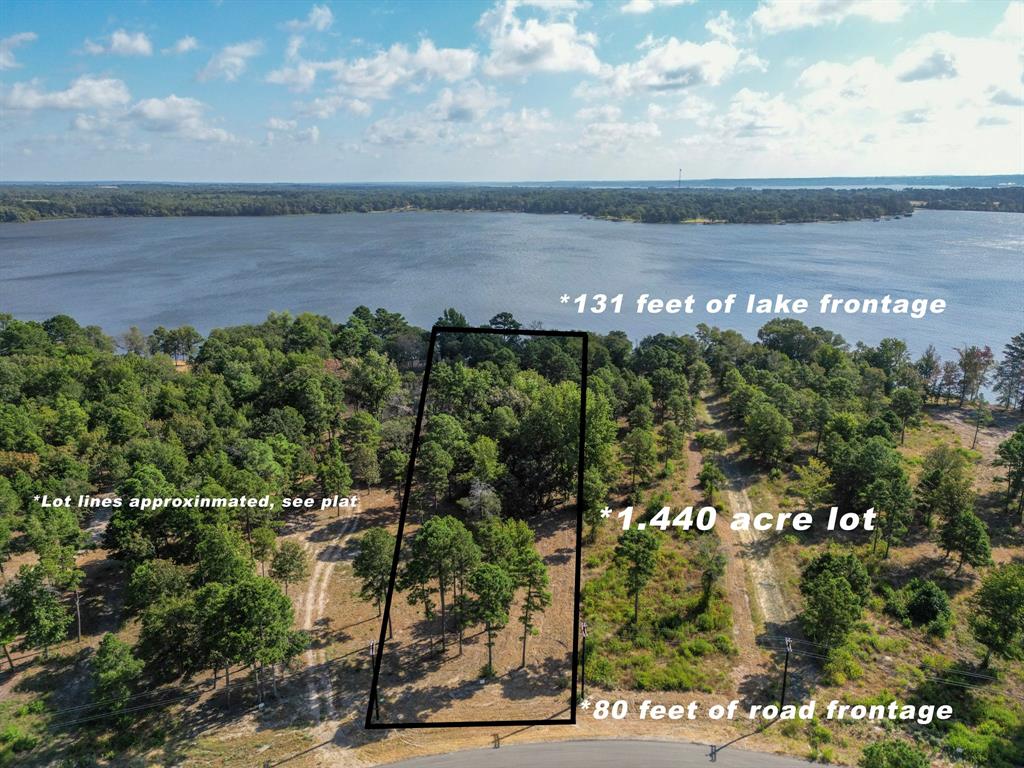 3146 Shadow Pine Drive Property Photo 4