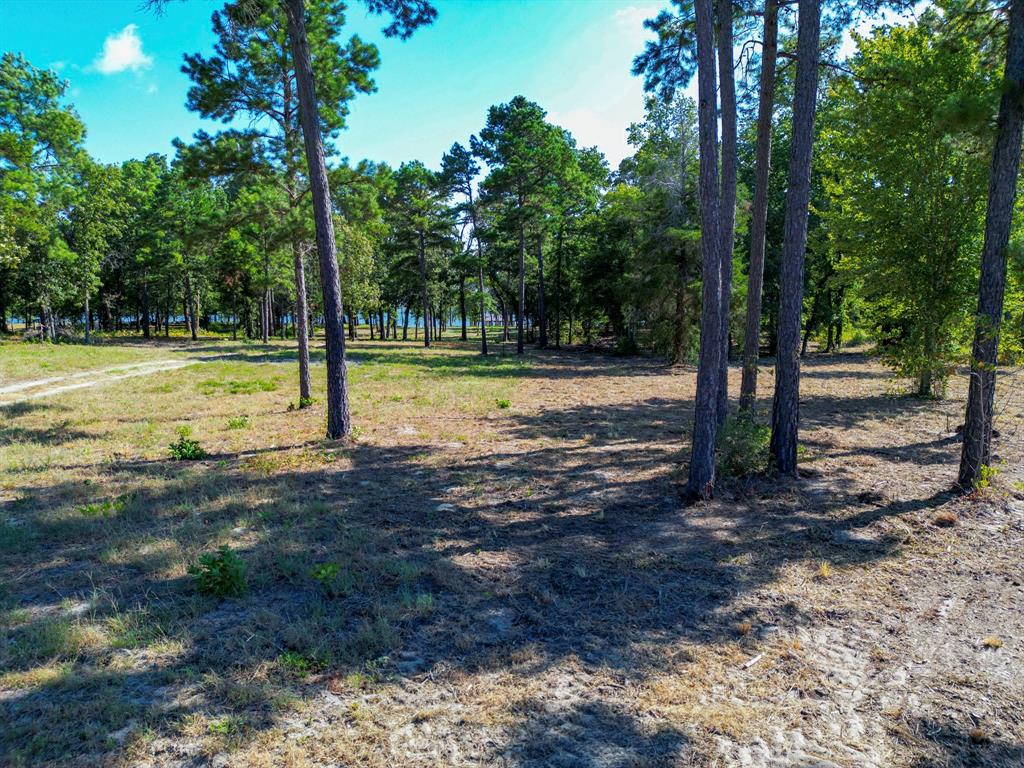 3146 Shadow Pine Drive Property Photo 8