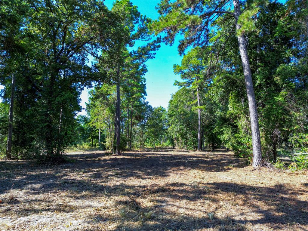 3146 Shadow Pine Drive Property Photo 9
