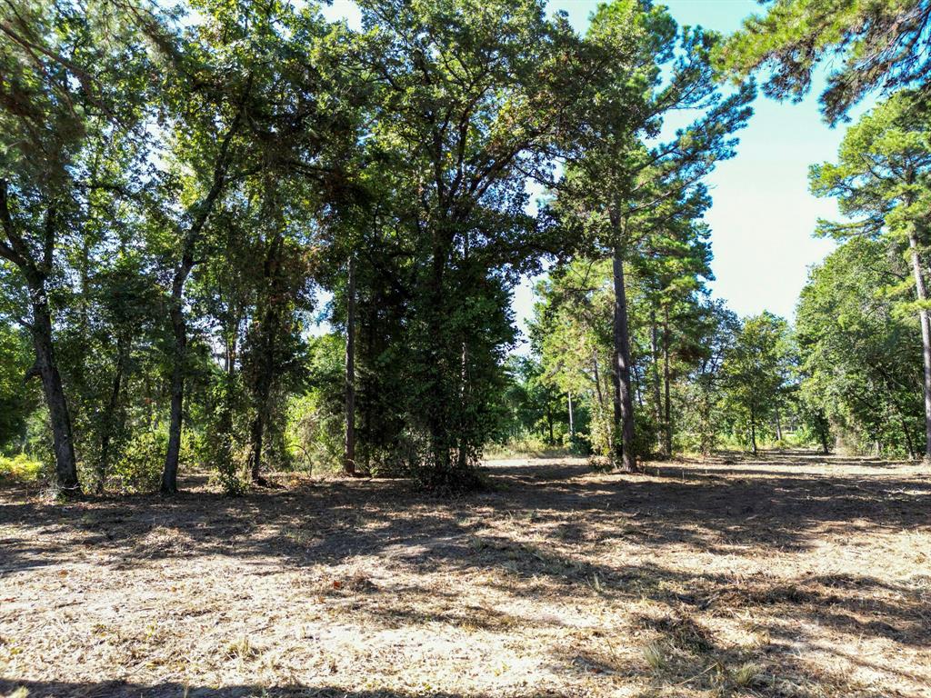 3146 Shadow Pine Drive Property Photo 10