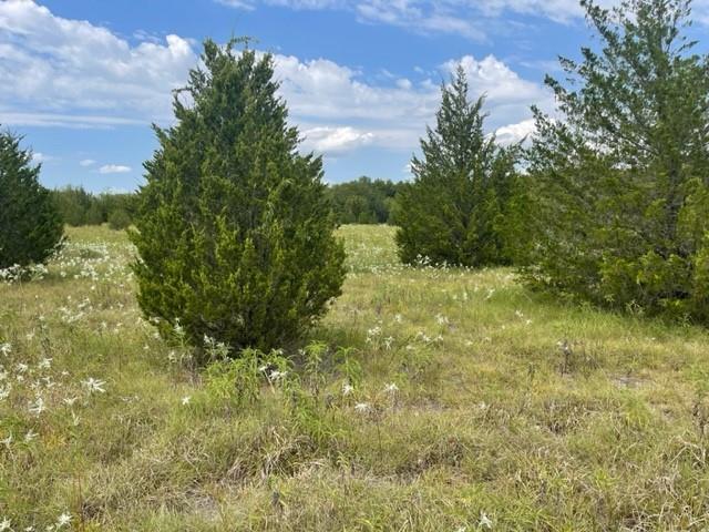 Tract 20 Cr 4813 Property Photo 6